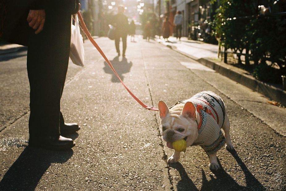 Scent Of Japan - Image 54