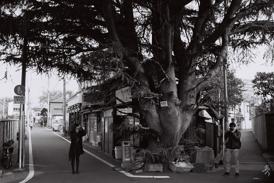 Scent Of Japan - Image 56