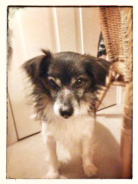 Snapshots - Image 19