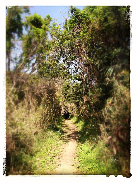 Snapshots - Image 28