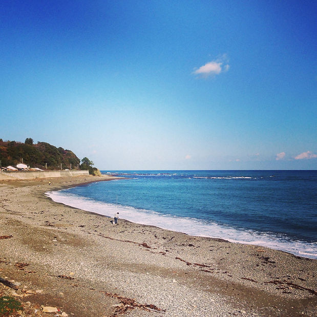 Snapshots - Image 30