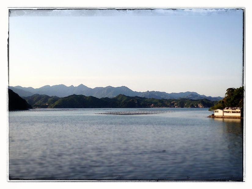 Snapshots - Image 31