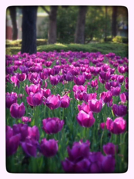 Snapshots - Image 35