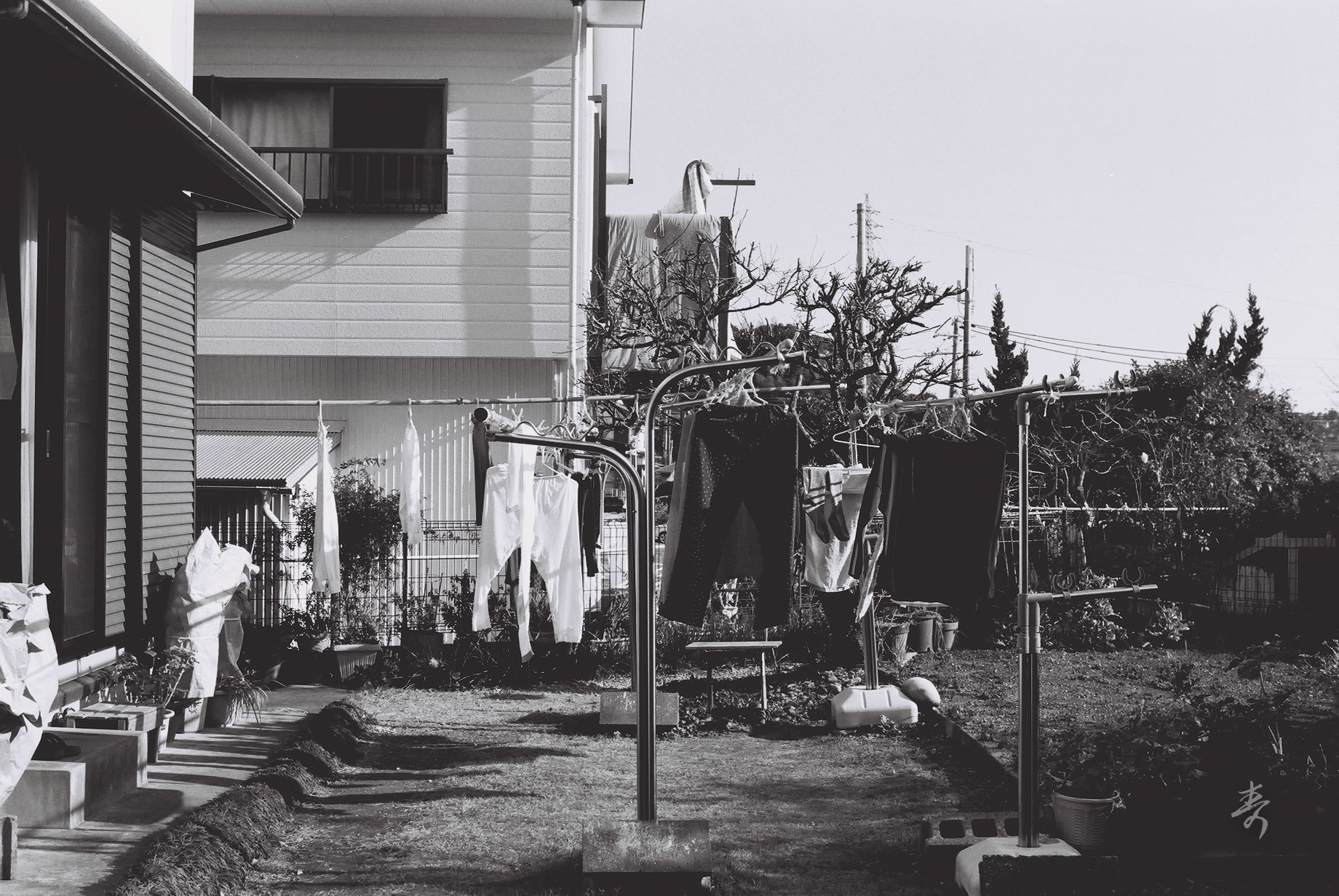 Snapshots - Image 47