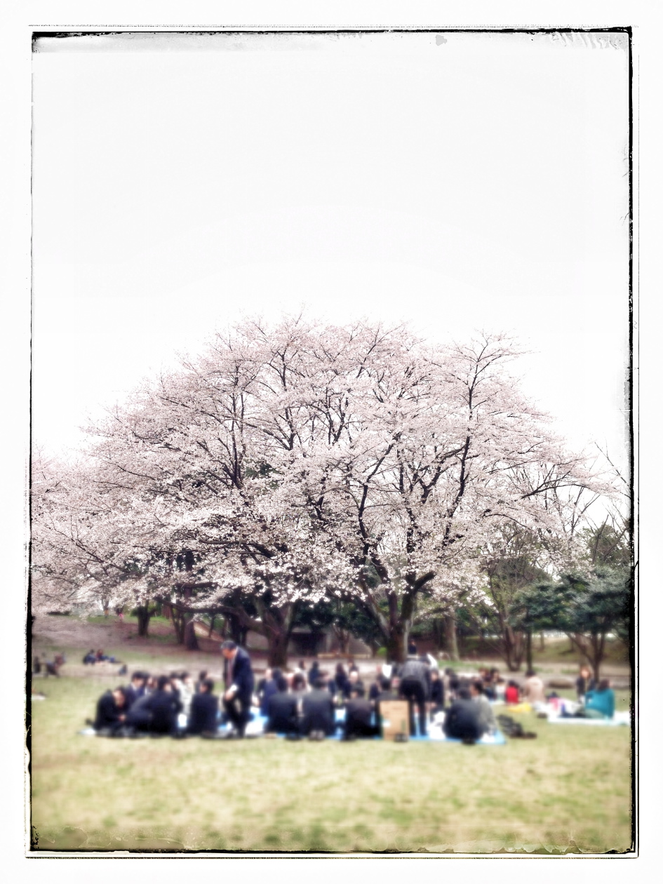 Snapshots - Image 50