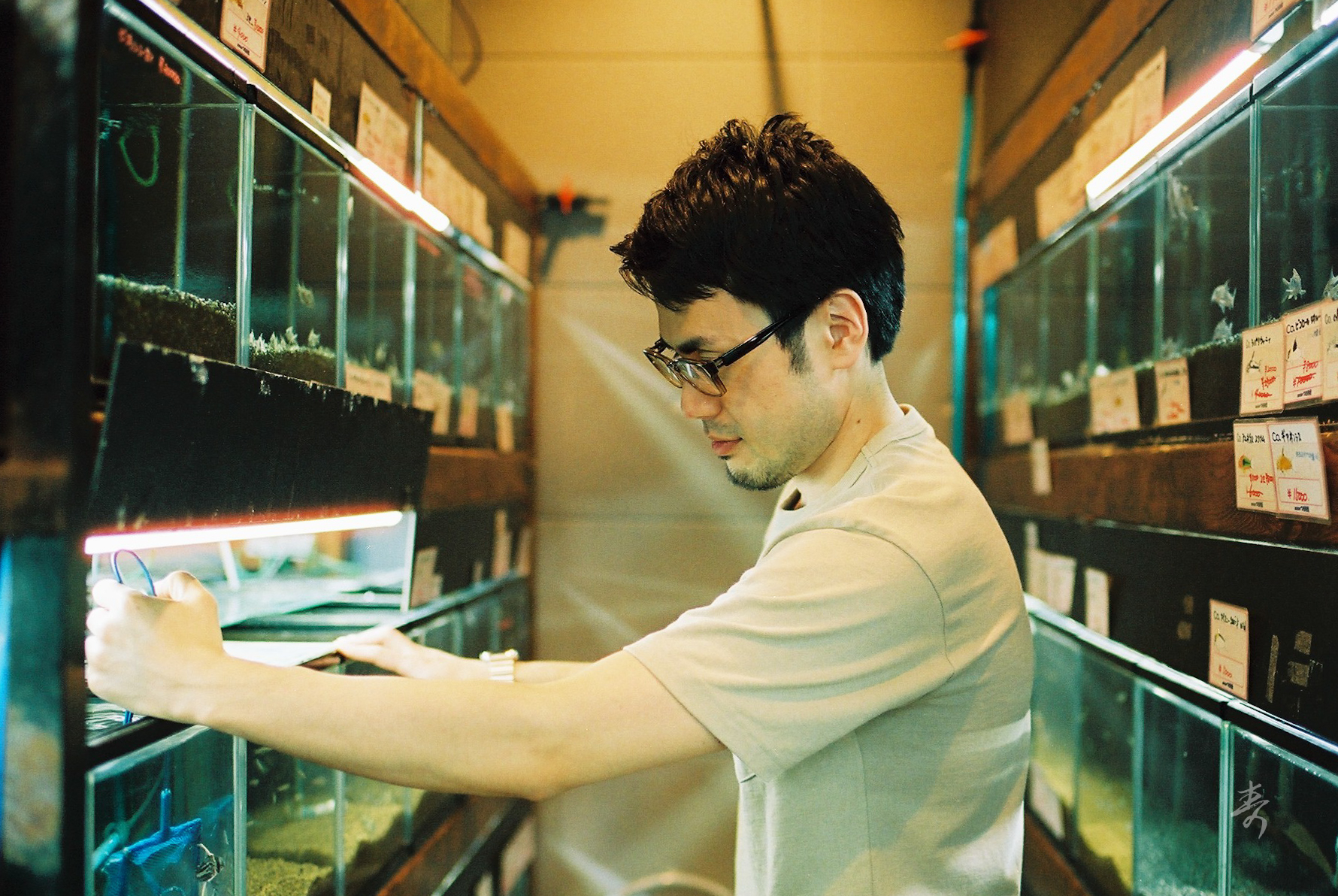 Speak Sea Breeze - Image 2