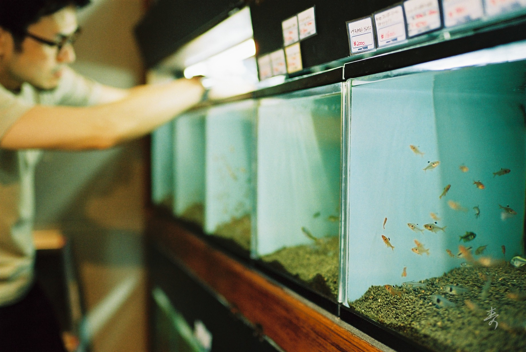 Speak Sea Breeze - Image 12