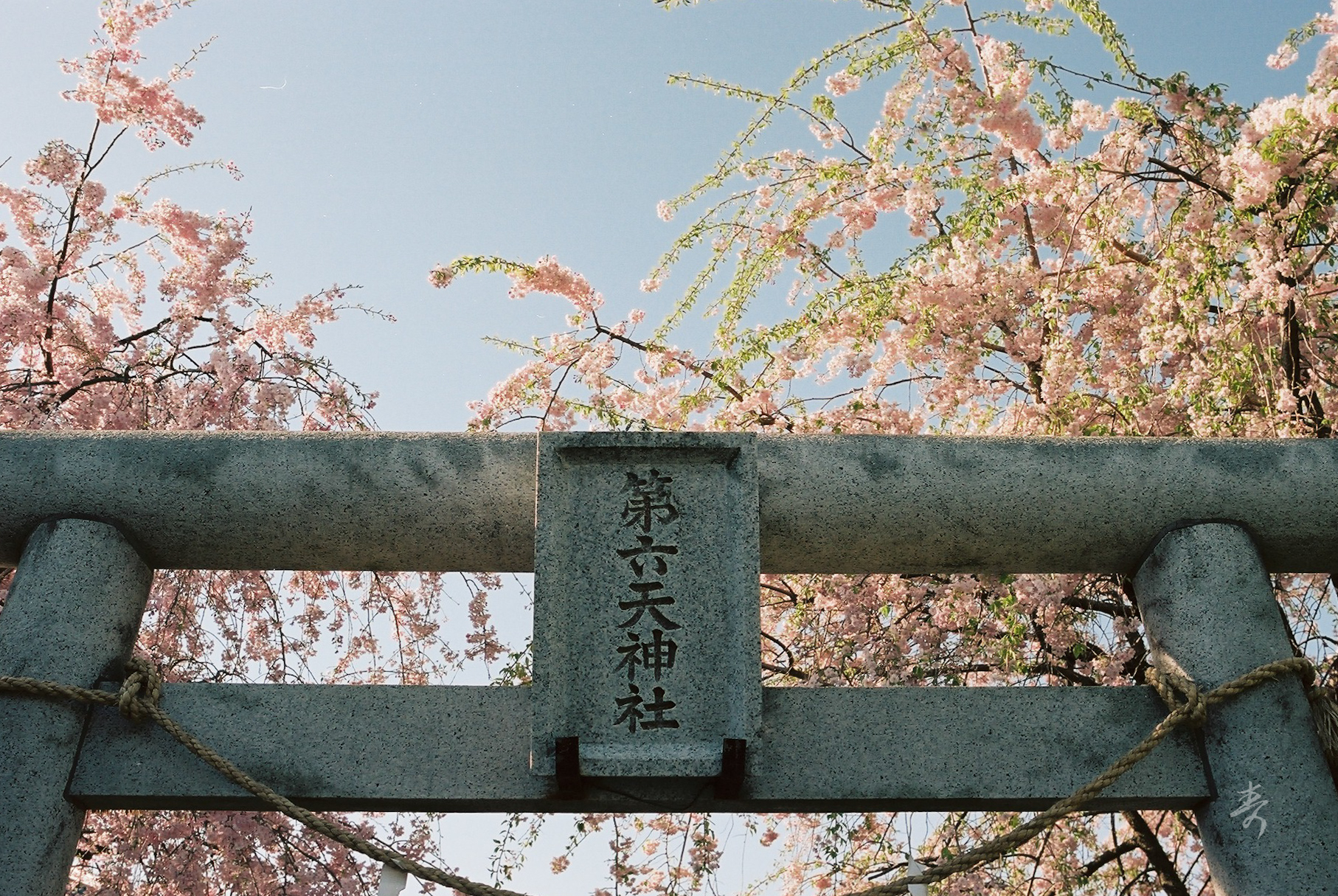 Spring2017 - Image 2