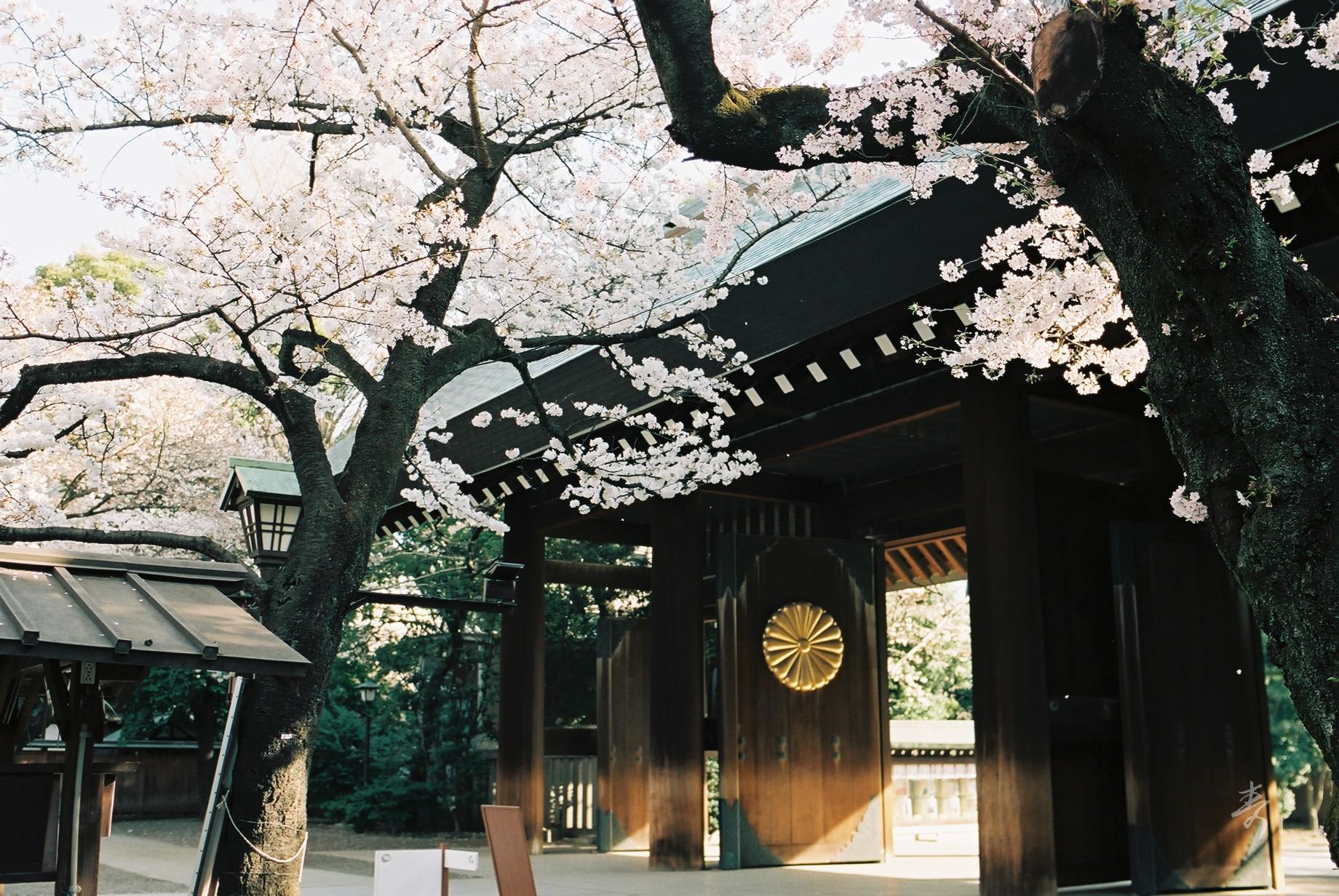 Spring2017 - Image 6