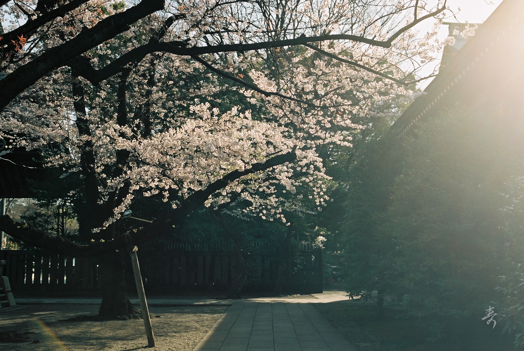 Spring2017 - Image 7