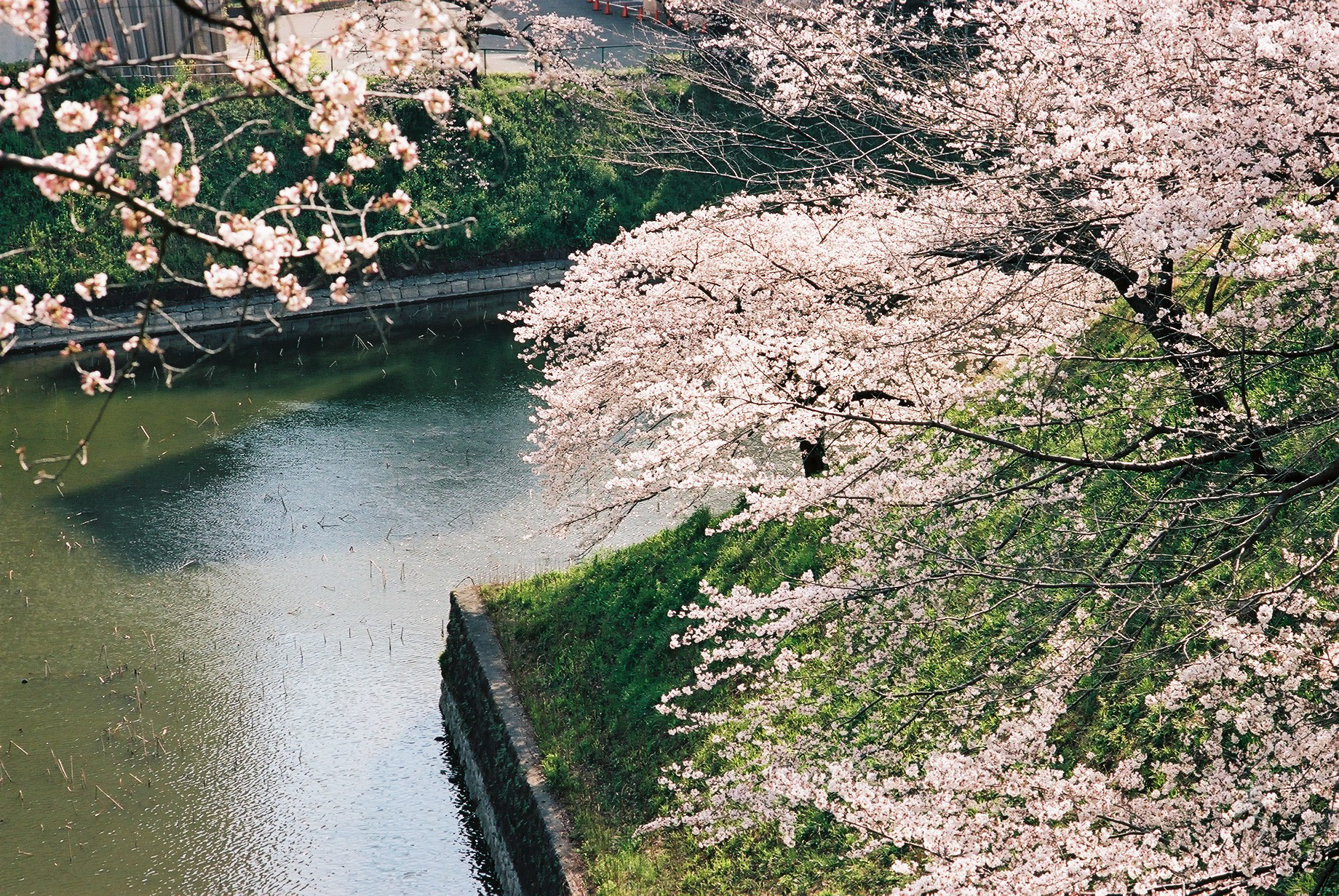 Spring2017 - Image 9