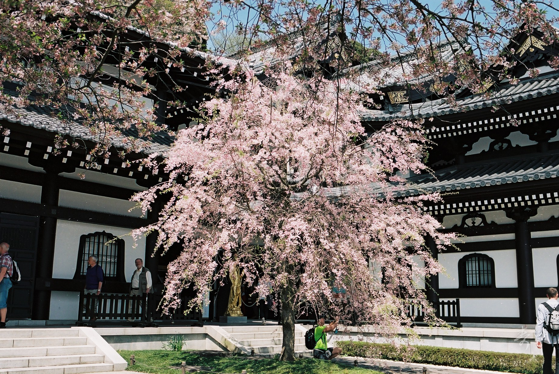 Spring2017 - Image 10