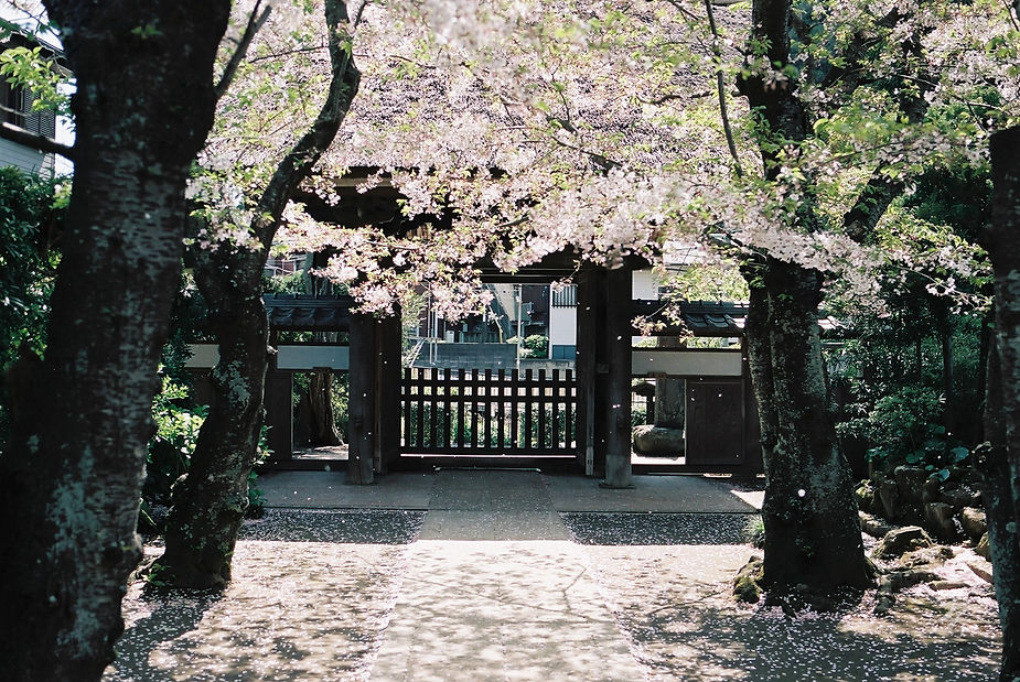 Spring2017 - Image 13