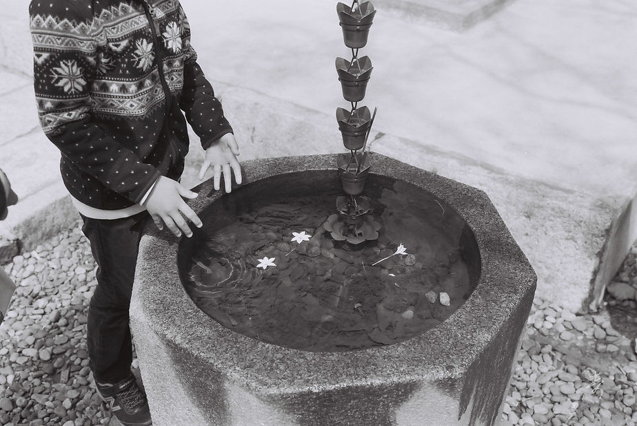 Spring2017 - Image 14