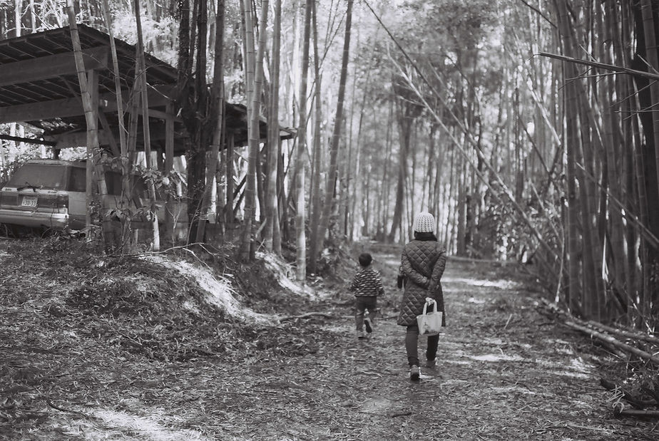 Spring2017 - Image 15