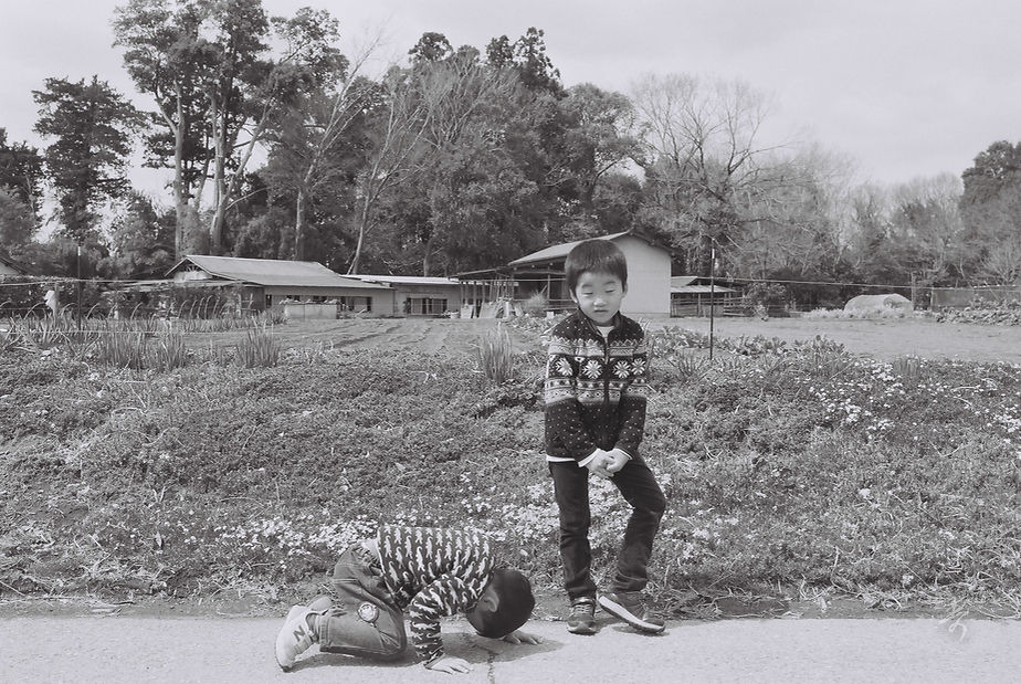 Spring2017 - Image 18