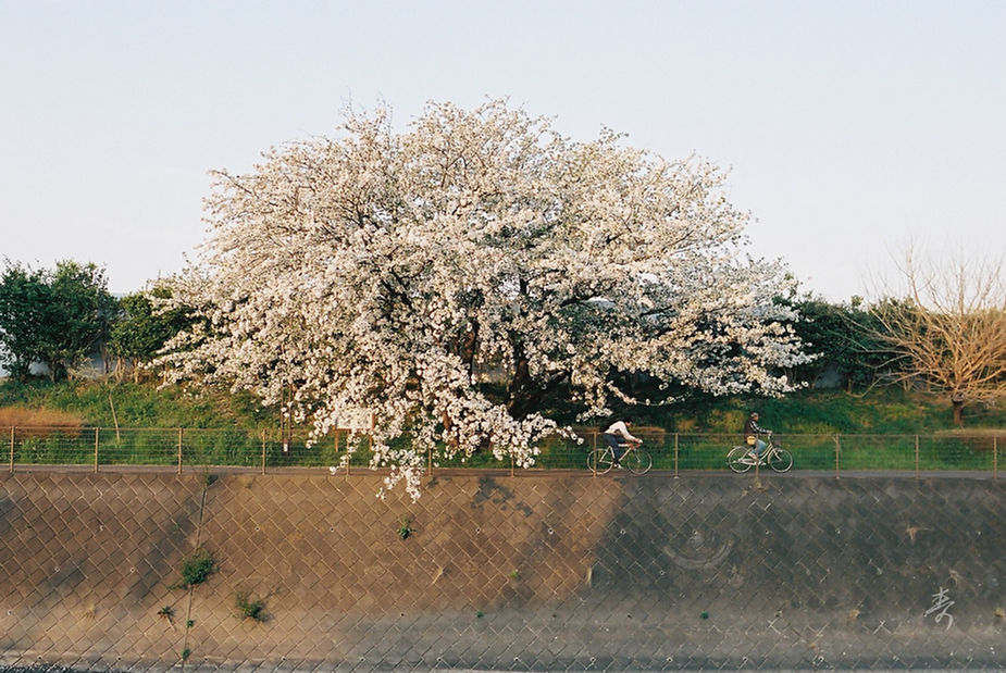 Spring2017 - Image 21