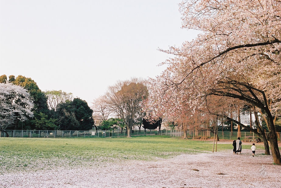 Spring2017 - Image 22