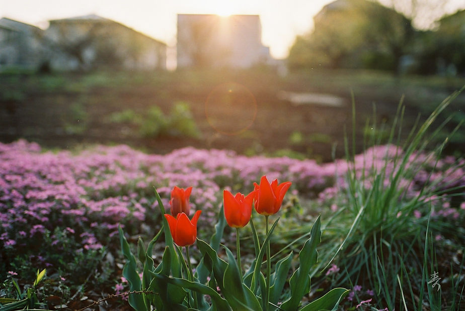 Spring2017 - Image 24