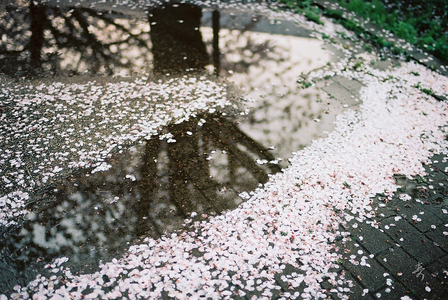 Spring2017 - Image 25