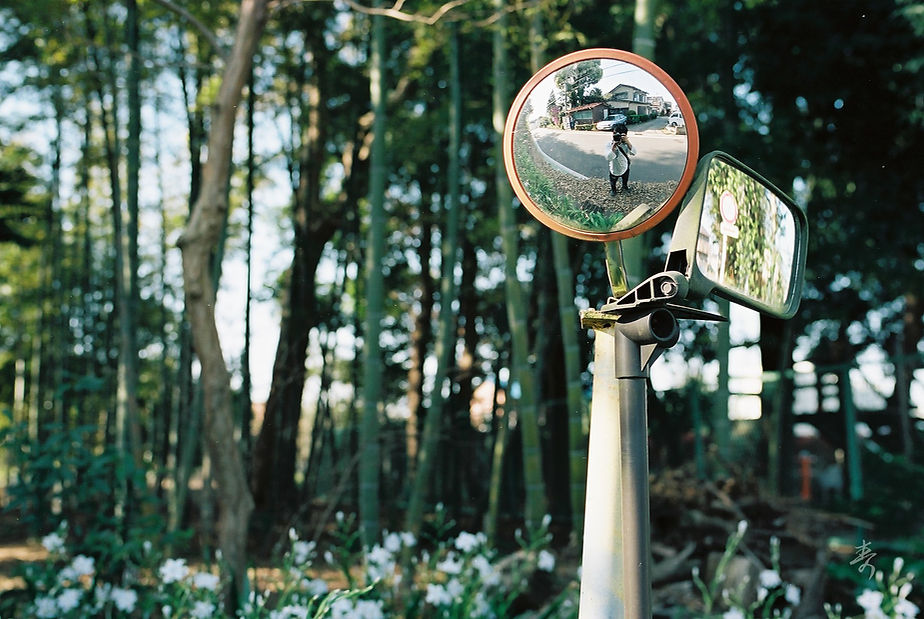 Spring2017 - Image 31