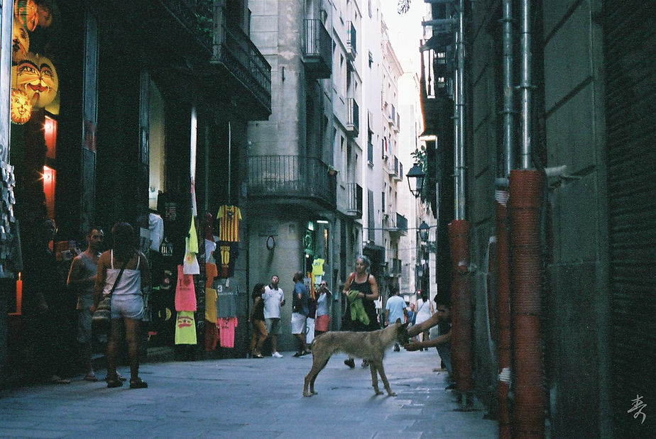 Volver Al Paraiso - Image 21