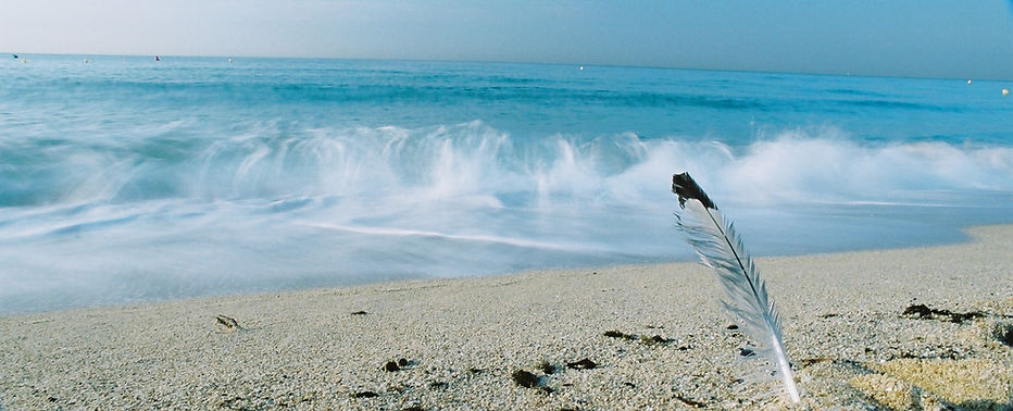 Volver Al Paraiso - Image 37