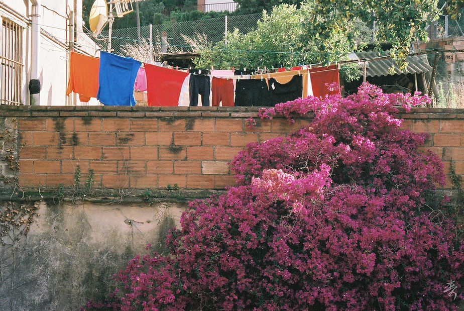 Volver Al Paraiso - Image 43