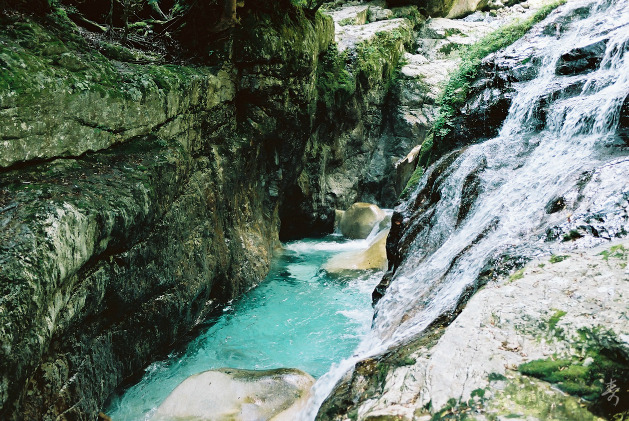 Zenki Blue - Image 10