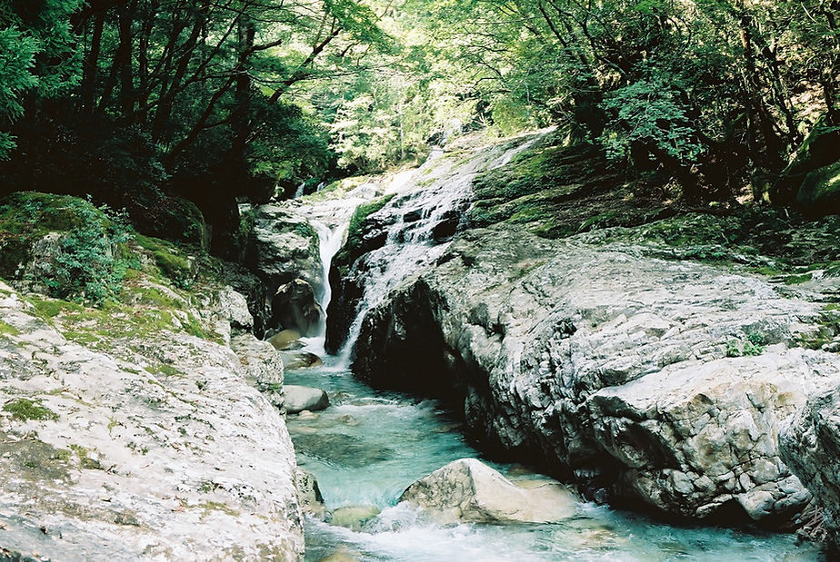 Zenki Blue - Image 17