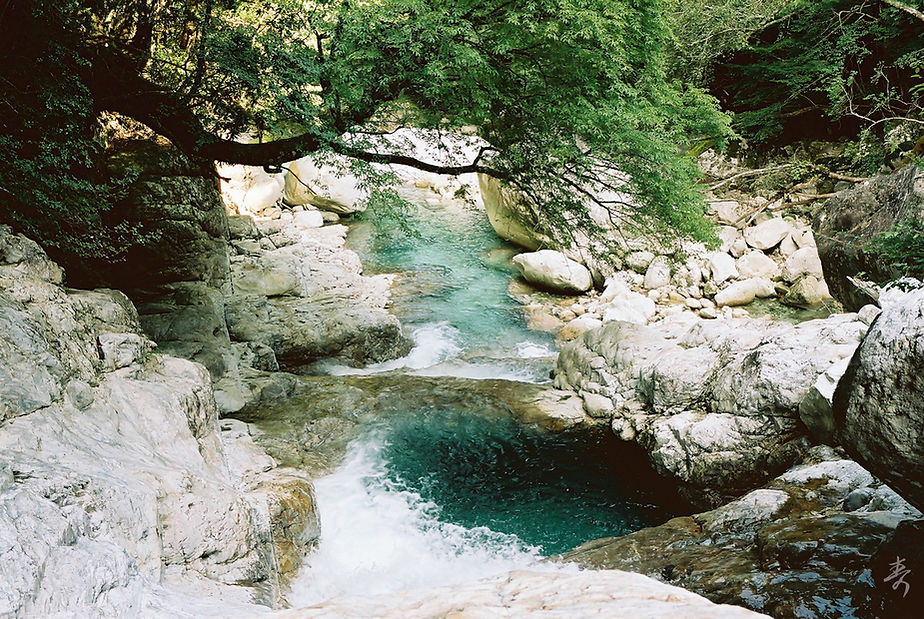 Zenki Blue - Image 20